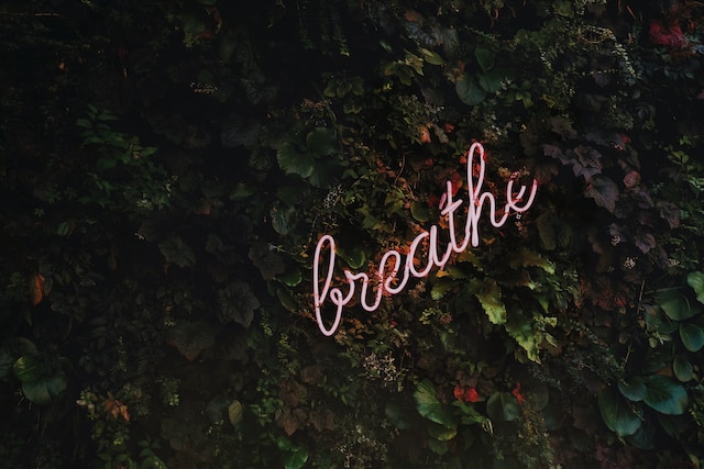 Marijuana's Effects on Lung Health