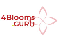 4Blooms Cannabis Marketing