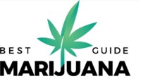 Best Marijuana Guide