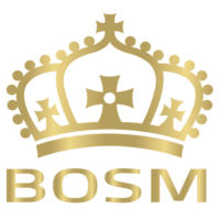 BOSM Labs