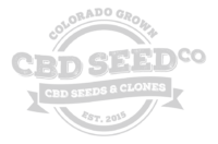 CBD Seed Co