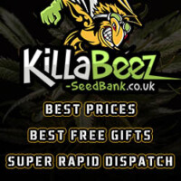 Killabeez Cannabis Seeds