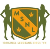 MSNL