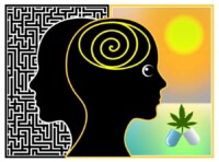 Signature Wellness Products