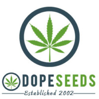 www.dope-seeds.com