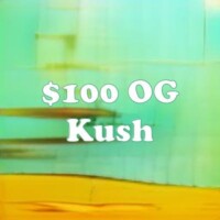 $100 OG Kush strain