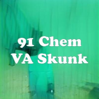 91 Chem VA Skunk strain