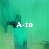 A-10 strain