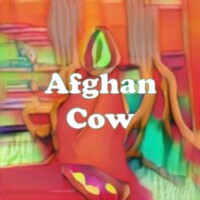 Afghan Cow strain