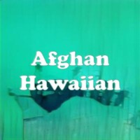 Afghan Hawaiian strain