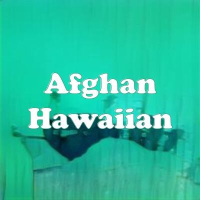 Afghan Hawaiian strain