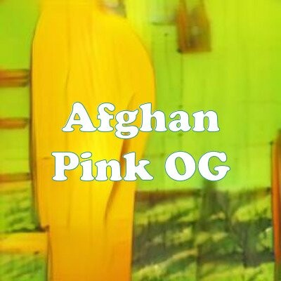 Afghan Pink OG strain
