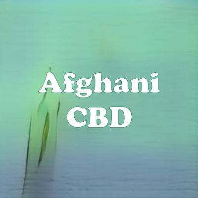 Afghani CBD strain