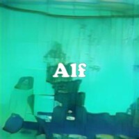 Alf strain