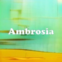 Ambrosia strain