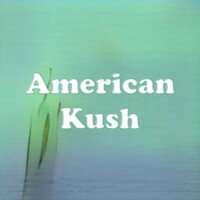 American Kush strain