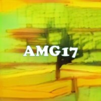 AMG17 strain