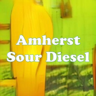 Amherst Sour Diesel strain