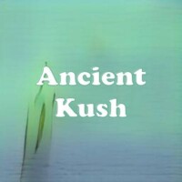 Ancient Kush strain