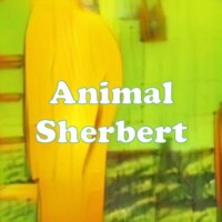 Animal Sherbert strain