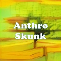 Anthro Skunk strain