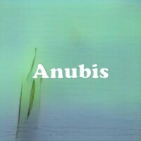 Anubis strain