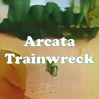 Arcata Trainwreck strain