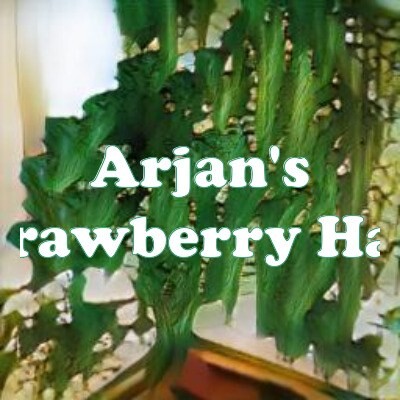 Arjan's Strawberry Haze strain