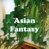 Asian Fantasy strain