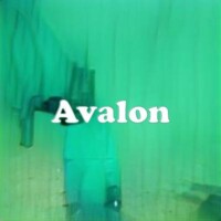 Avalon strain