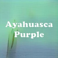 Ayahuasca Purple strain