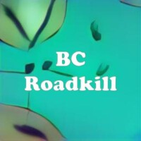 BC Roadkill strain