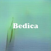 Bedica strain
