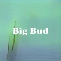 Big Bud strain