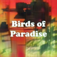 Birds of Paradise strain