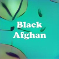 Black Afghan strain