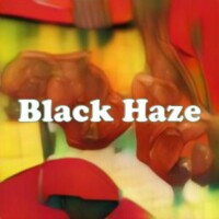 Black Haze strain