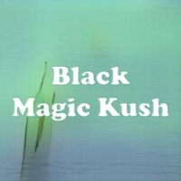 Black Magic Kush strain