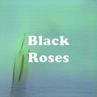 Black Roses strain