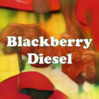 Blackberry Diesel strain