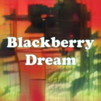 Blackberry Dream strain