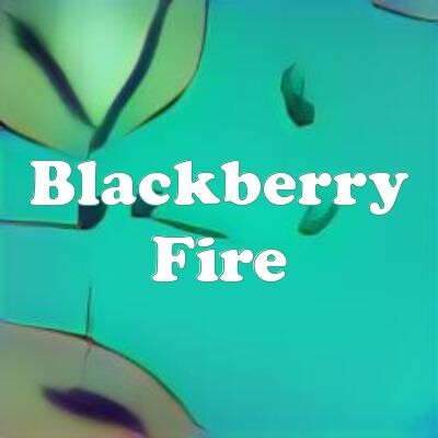 Blackberry Fire strain