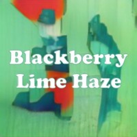 Blackberry Lime Haze strain
