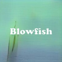 Blowfish strain