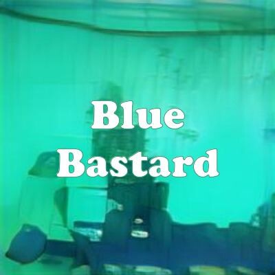 Blue Bastard strain