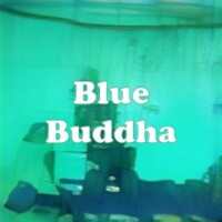 Blue Buddha strain