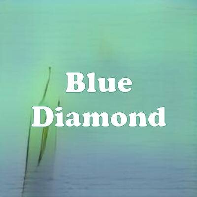 Blue Diamond strain