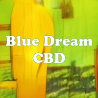Blue Dream CBD strain