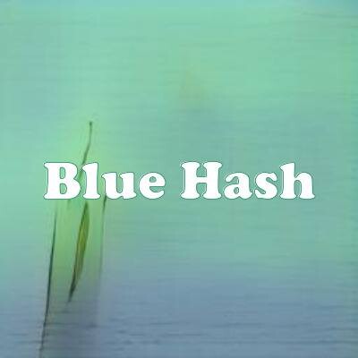 Blue Hash strain