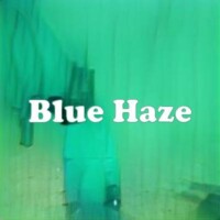 Blue Haze strain